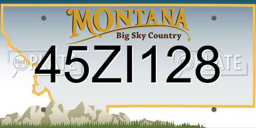 45ZI128 Montana License Plate