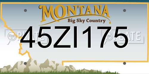45ZI175 Montana License Plate