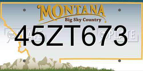 45ZT673 Montana License Plate
