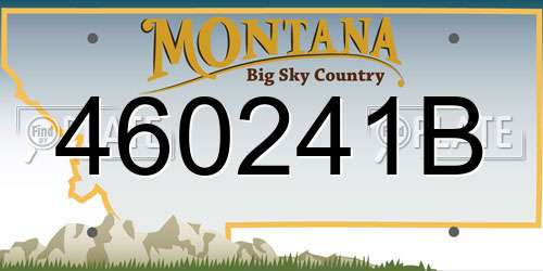 460241B Montana License Plate