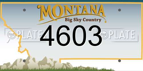 4603 Montana License Plate
