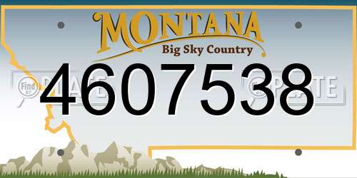 4607538 Montana License Plate