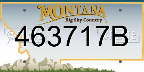 463717B Montana License Plate