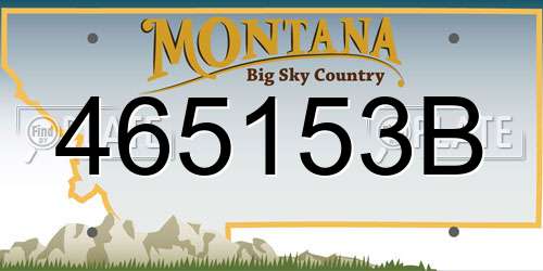 465153B Montana License Plate