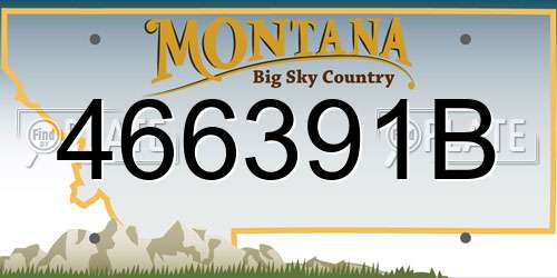 466391B Montana License Plate