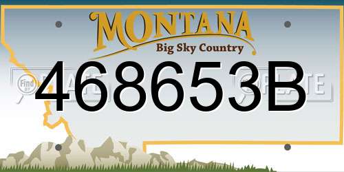 468653B Montana License Plate