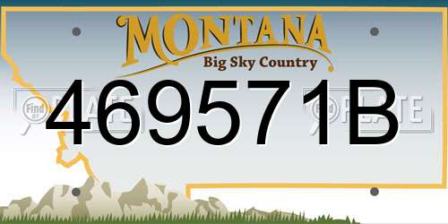 469571B Montana License Plate
