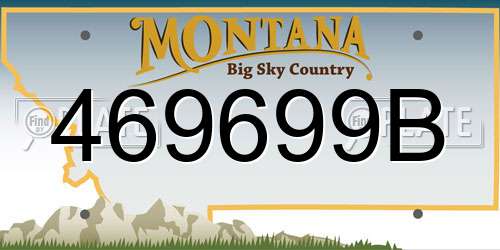 469699B Montana License Plate
