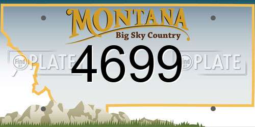 4699 Montana License Plate