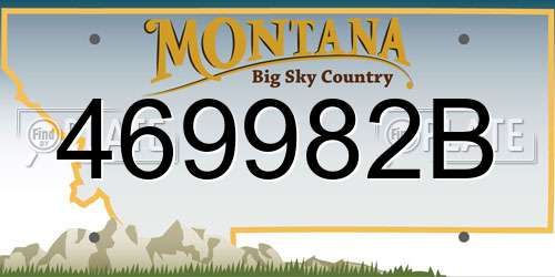469982B Montana License Plate