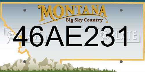 46AE231 Montana License Plate