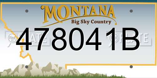478041B Montana License Plate