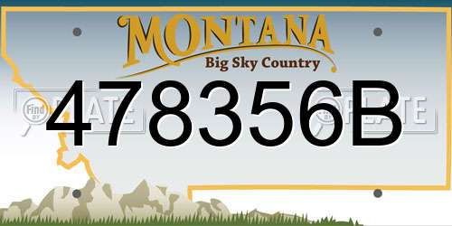 478356B Montana License Plate