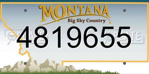 4819655 Montana License Plate