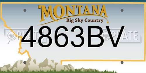 4863BV Montana License Plate