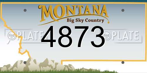 4873 Montana License Plate