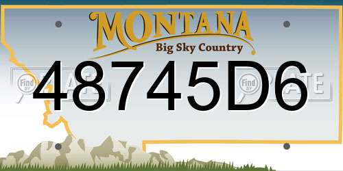 48745D6 Montana License Plate