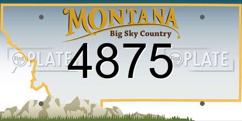 4875 Montana License Plate