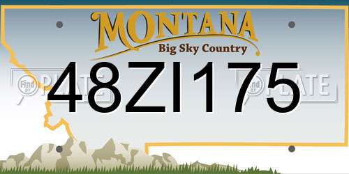 48ZI175 Montana License Plate