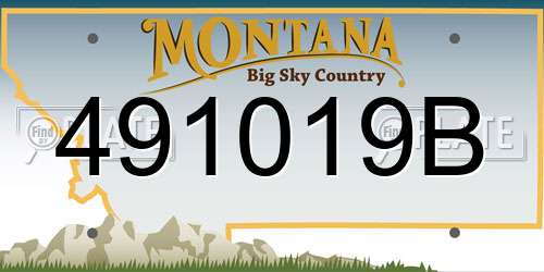 491019B Montana License Plate