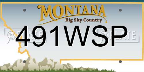 491WSP Montana License Plate