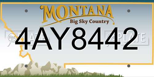4AY8442 Montana License Plate