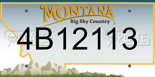 4B12113 Montana License Plate