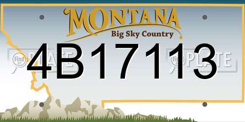 4B17113 Montana License Plate