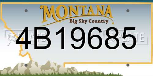 4B19685 Montana License Plate