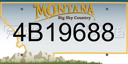 4B19688 Montana License Plate