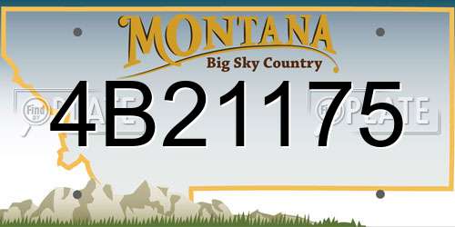 4B21175 Montana License Plate