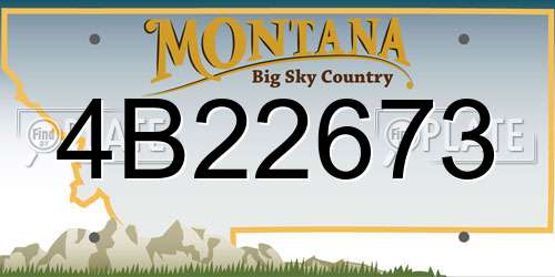 4B22673 Montana License Plate