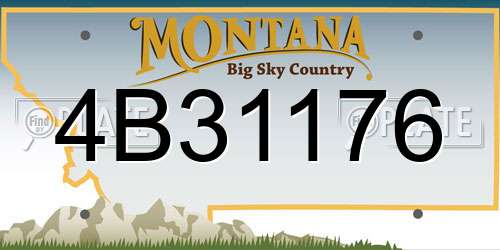 4B31176 Montana License Plate