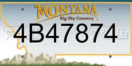 4B47874 Montana License Plate