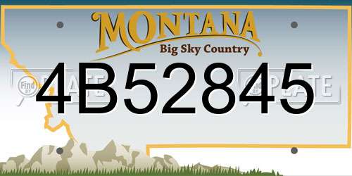 4B52845 Montana License Plate