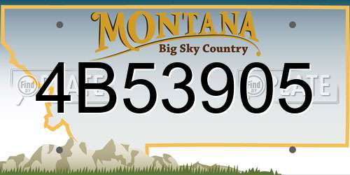 4B53905 Montana License Plate
