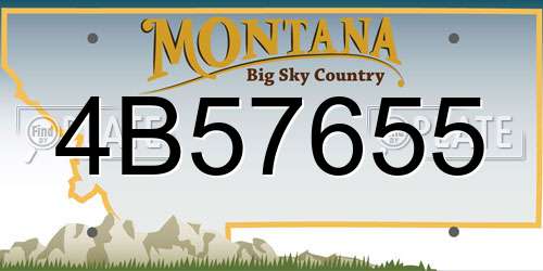 4B57655 Montana License Plate