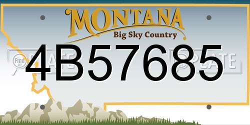 4B57685 Montana License Plate