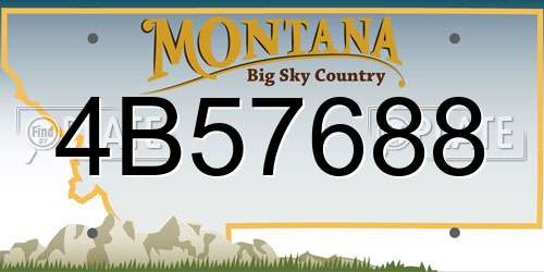 4B57688 Montana License Plate
