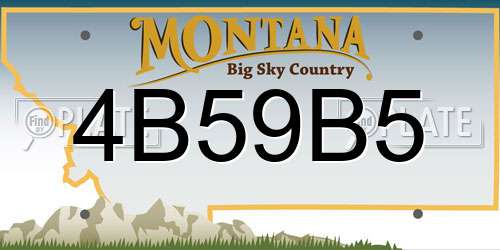 4B59B5 Montana License Plate