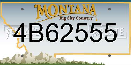 4B62555 Montana License Plate