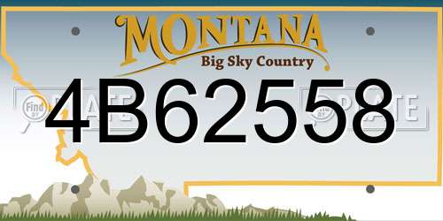 4B62558 Montana License Plate