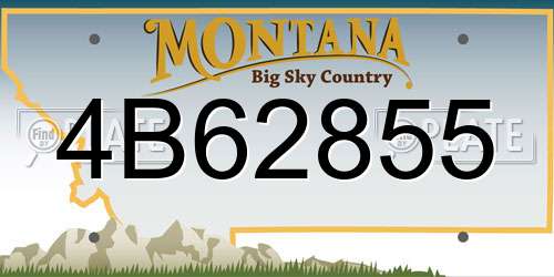 4B62855 Montana License Plate