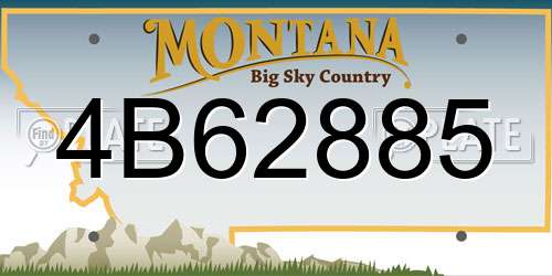 4B62885 Montana License Plate