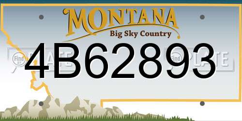 4B62893 Montana License Plate