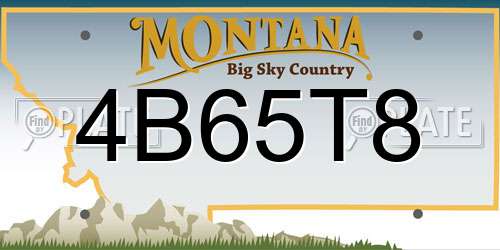 4B65T8 Montana License Plate