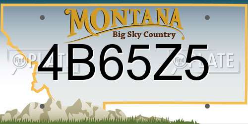 4B65Z5 Montana License Plate