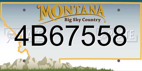 4B67558 Montana License Plate