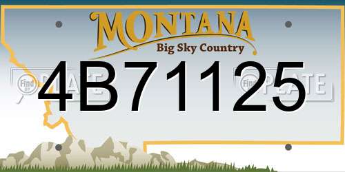 4B71125 Montana License Plate