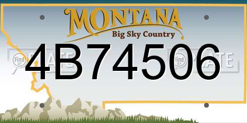 4B74506 Montana License Plate